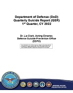 2022 QSR Q1
